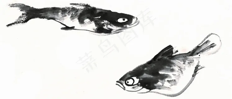 鱼虾蟹龟绘画素材 鱼虾蟹龟绘画素材