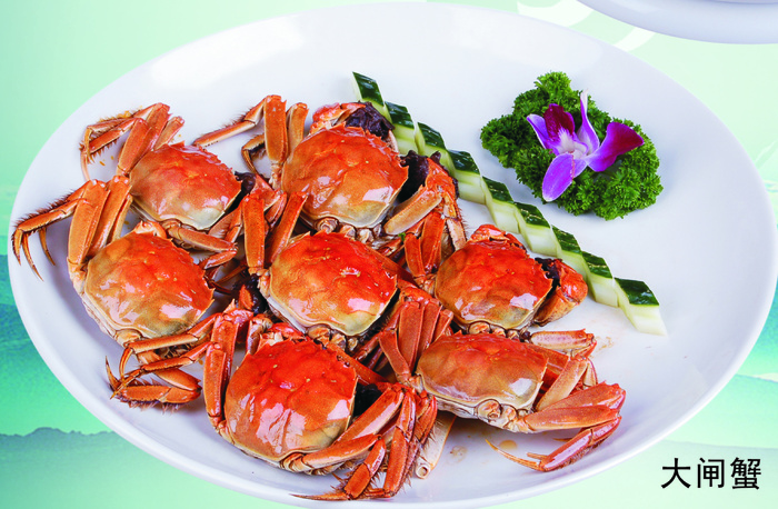 J04-0177   大闸蟹