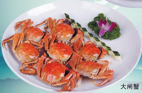 J04-0177   大闸蟹