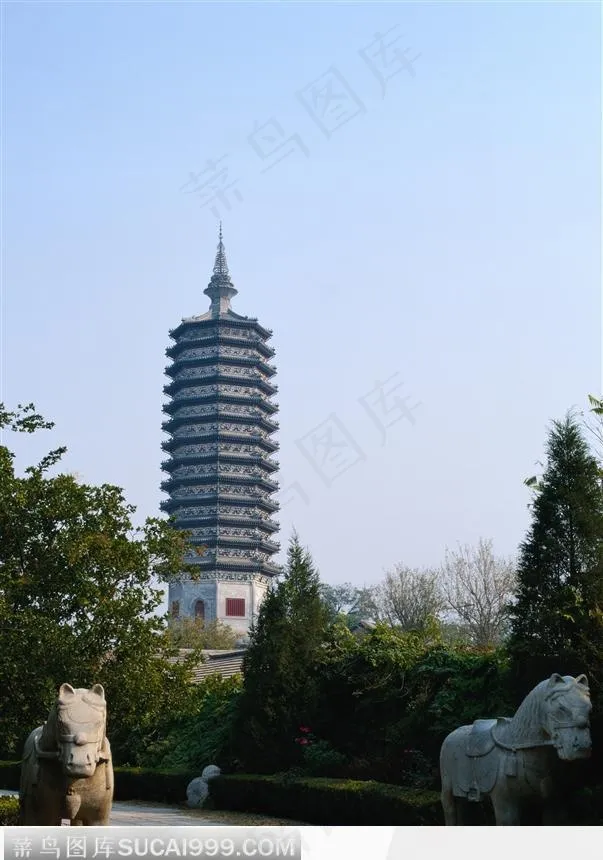 高耸的塔