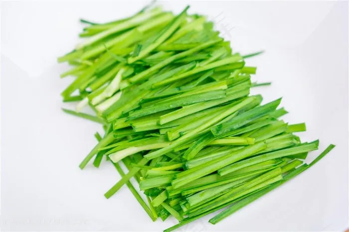 嫩韭菜摄影图片