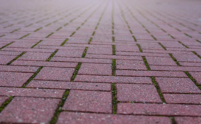 操场路面石砖图片