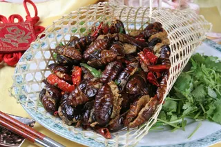 16干煸蚕蛹.JPG 福香圓餃子