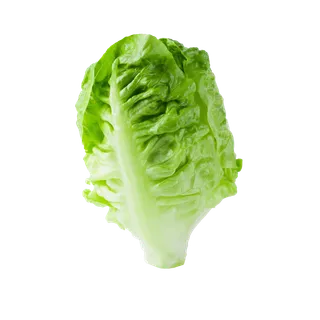 生菜 (11)超市商品白底图免抠实物摄影png格式图片透明底