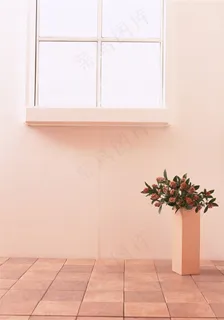 窗边下的花瓶 窗边下的花瓶
