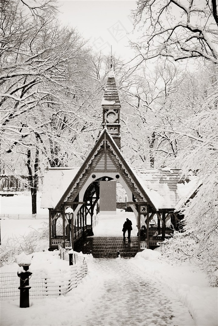 冬季白色美丽雪景