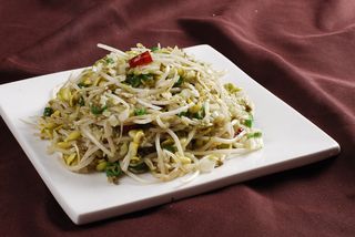 CXC01865浆水炒豆芽