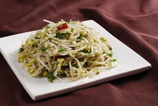 CXC01865浆水炒豆芽