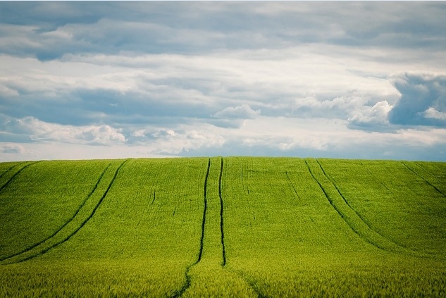 冬天白雪背景风景