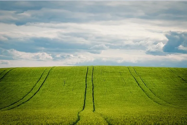 冬天白雪背景风景