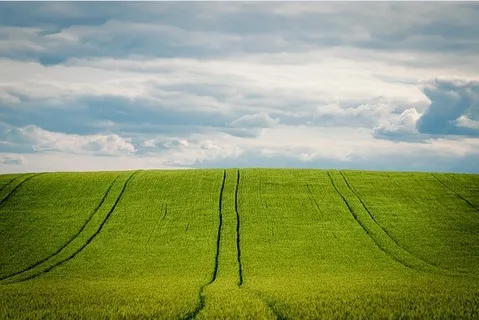 冬天白雪背景风景 冬天白雪背景风景