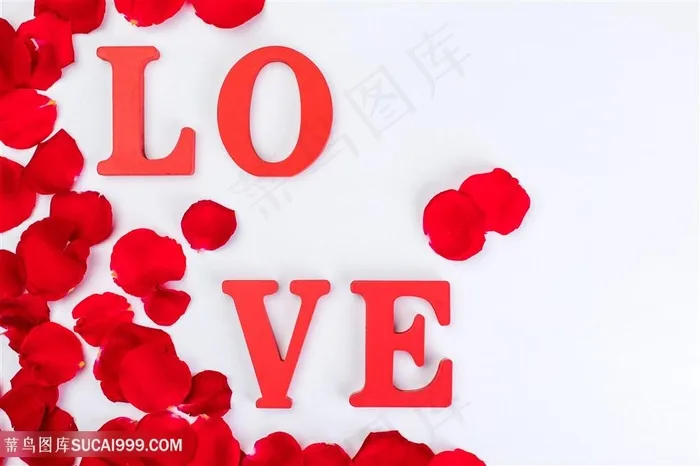 情人节花瓣love