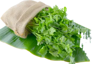 芹菜 (5)超市商品白底图免抠实物摄影png格式图片透明底