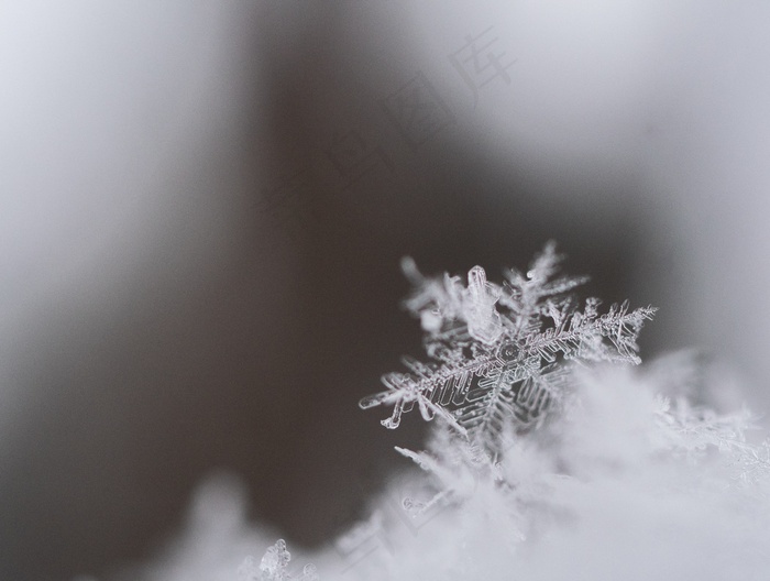 冬季雪景图