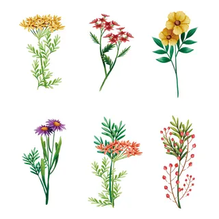 免抠清新春季绿色花草植物插画元素