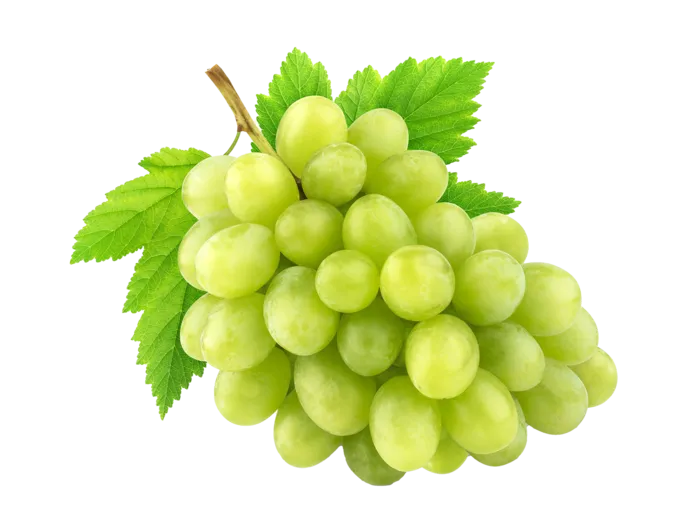 青提子水果超市商品白底图免抠实物摄影png格式图片透明底