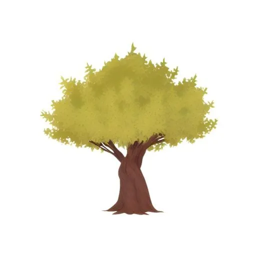 树免抠(2048x2048)