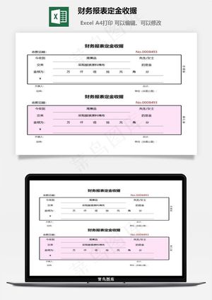 财务报表定金收据预览图