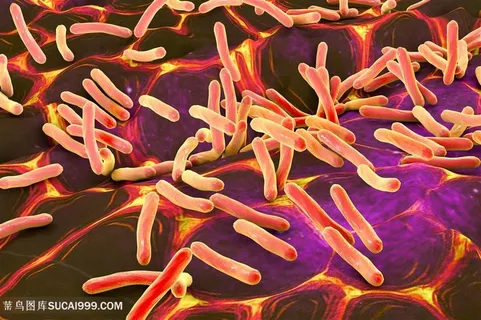 微生物细菌背景高清图片