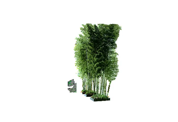 树免抠素材psd模版下载
