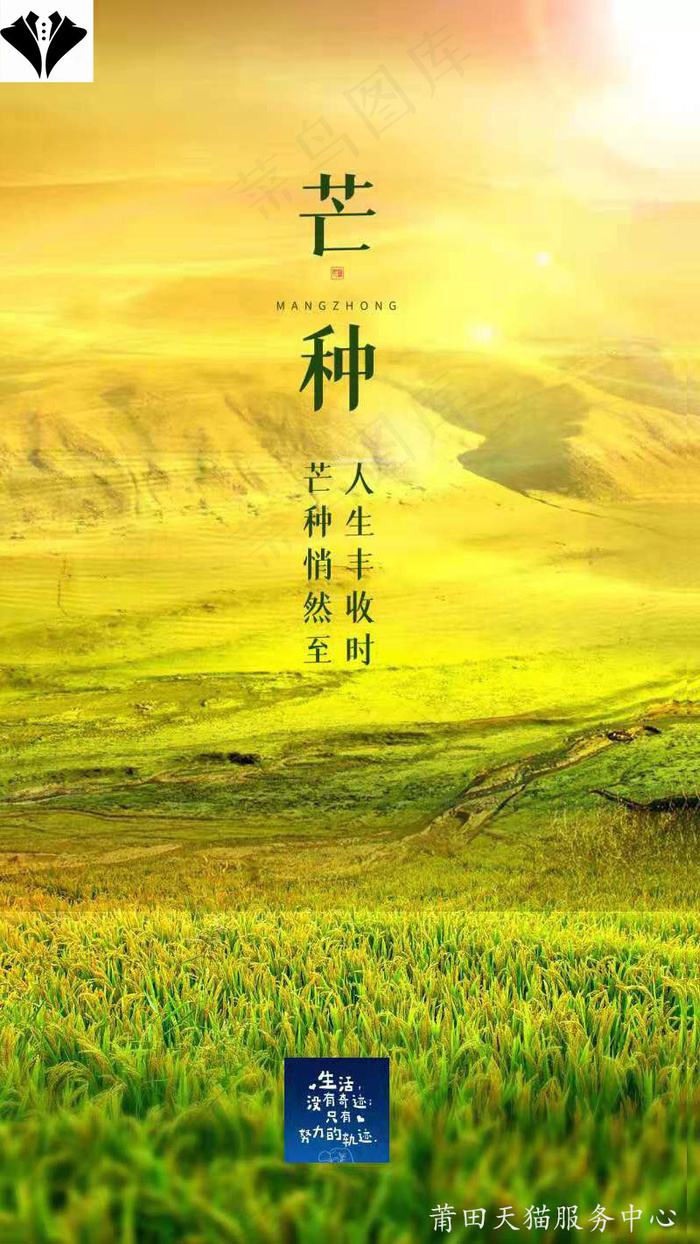 芒种二十四节气