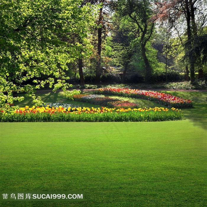 树木草地与郁金香花卉摄影图片
