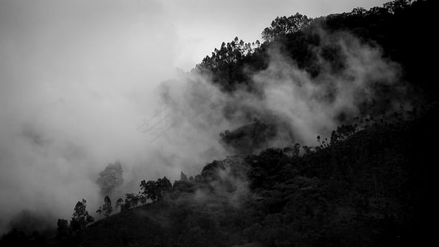 黑和白, 云, 风, 景观,