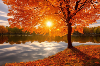 秋天在湖边的树叶红了摄影图