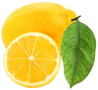 柠檬 PNG免抠