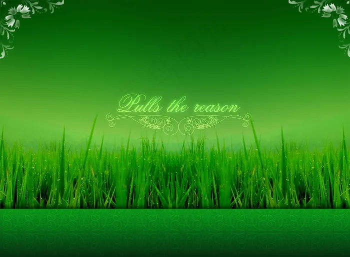 草地背景图片下载