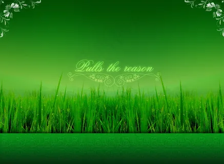 草地背景图片下载