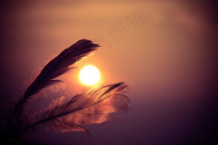黄昏带字图片