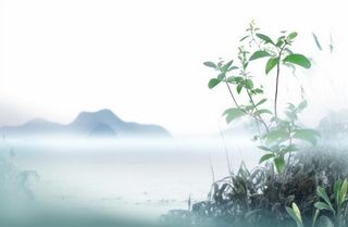 中国山水竹子水墨画绿色背景