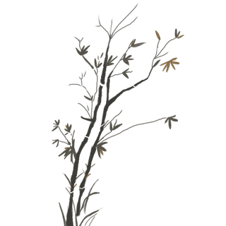 竹子水墨画中国风国画墨水书法竹子画