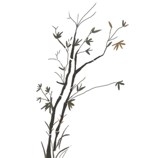 竹子水墨画中国风国画墨水书法竹子画