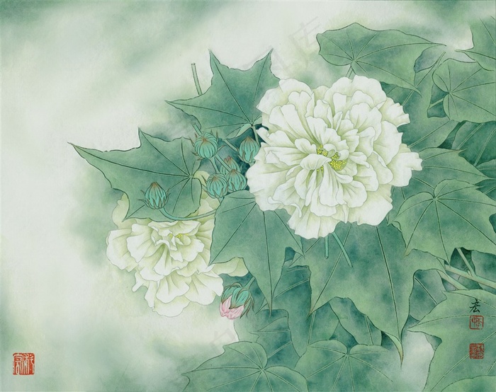 素颜烟云白芙蓉国画