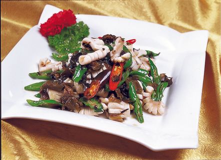 1009CS-0349雪椒目鱼花 