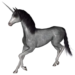 马动物免扣素材透明背景野马