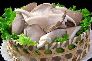 蘑菇香菇金针菇杂菇菌类美食素菜