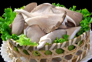 蘑菇香菇金针菇杂菇菌类美食素菜