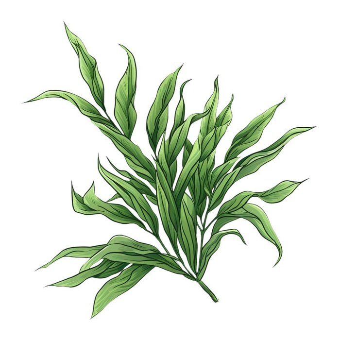 绿叶植物树叶茶壶免抠