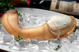 HQ-701象拔蚌刺身