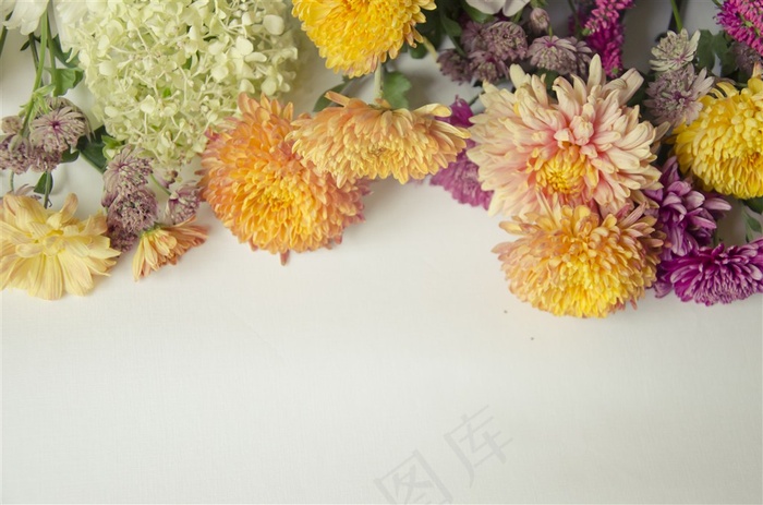 多种颜色的漂亮花朵