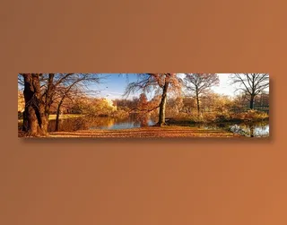 枫叶秋季风景画