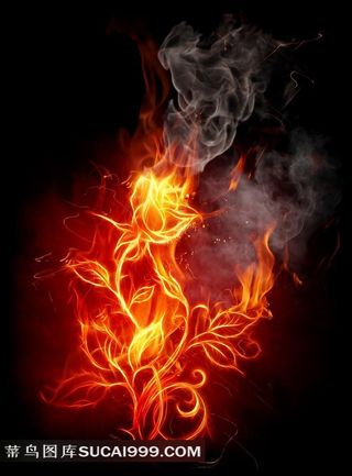 火焰绘制的玫瑰花