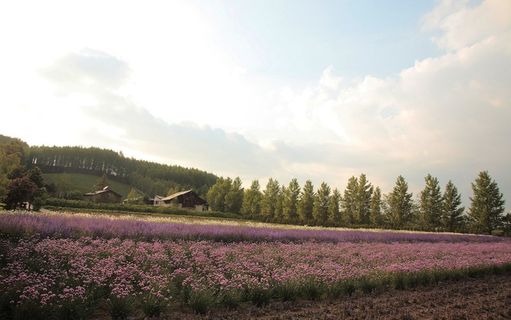 自然风景图片 自然风景图片