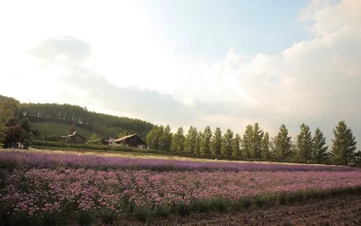 自然风景图片 自然风景图片