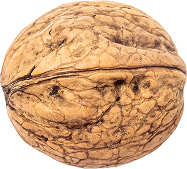 09_Walnut