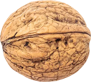 09_Walnut