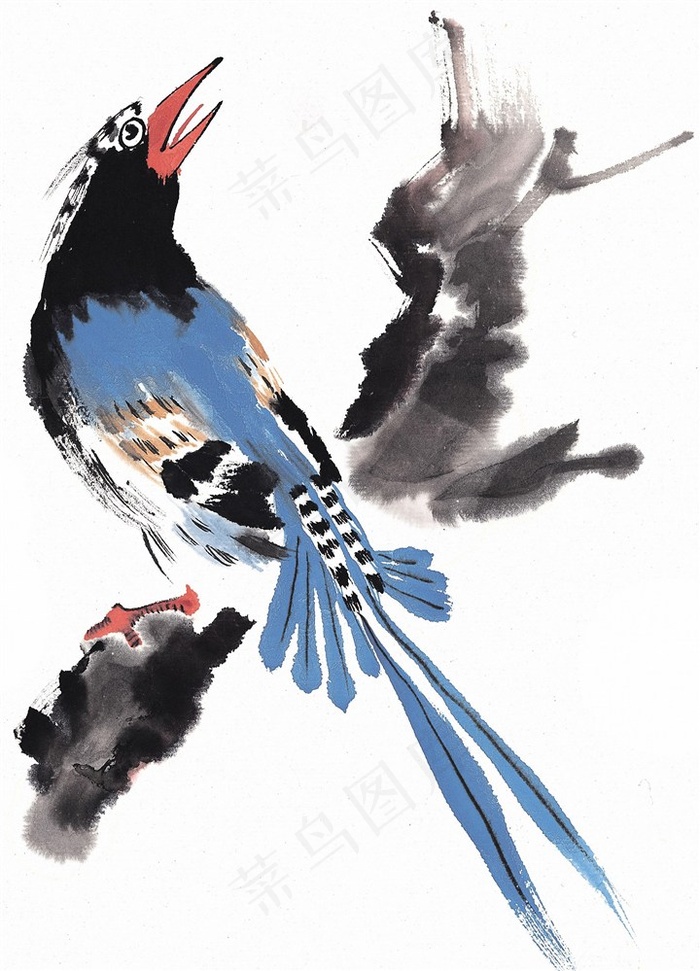 画鸟绘画素材